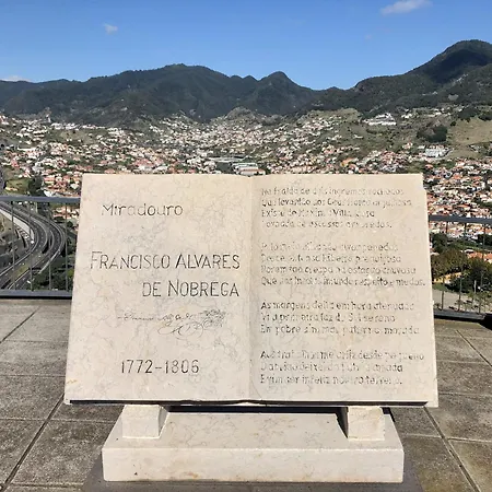 Avelino By Atlantic 마치코